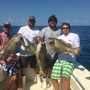 Meet your Posher, Forrest